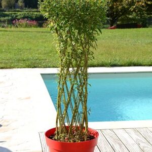 Colonne en pot