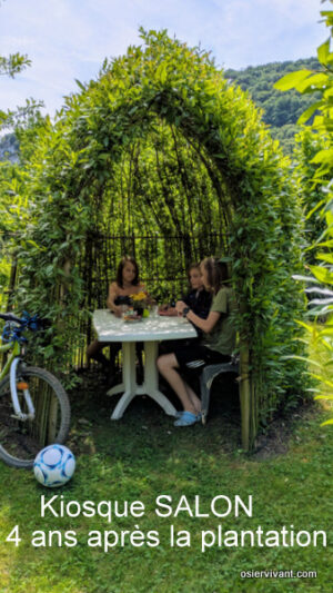 cabane en osier vivant