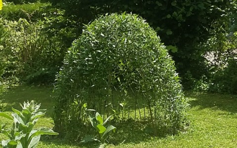 Distributeur Grossiste Clôture Naturelle en Lamelles d'Osier