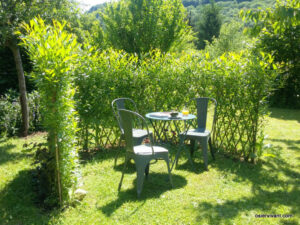 seconde année de plantation