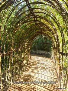 Tunnel osier vivant Arc et Senans