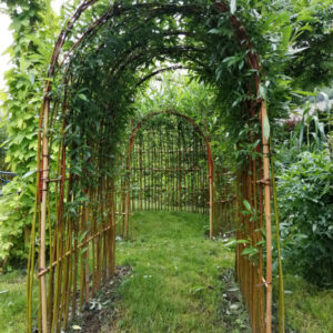 Cabane en kit 'Green hut' - Osier Vivant