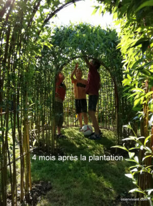 KIT KIOSQUE ENFANTS modèle cabanon – Image 12