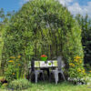 KIT KIOSQUE 'Pavillon' diamètre : 3 m – Image 3