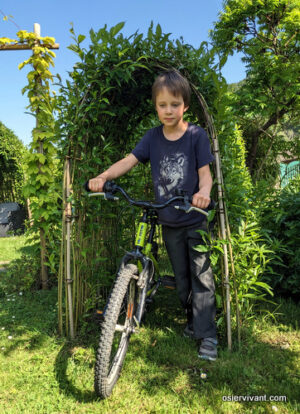 Kit tunnel enfant osier vivant